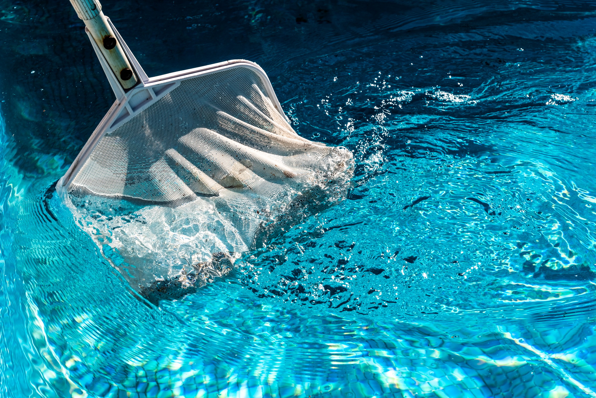 Pool Net Leaf Skimmer Rake in summer.