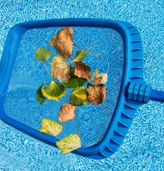 Cleaning leaves from the swimming pool